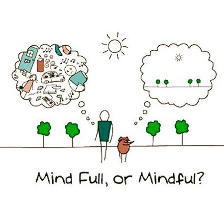 A close-up of professional highlights being applied at a salon, with sections of hair painted with lightener and wrapped in foil. The image captures the precision and technique of a stylist during the colouring process—reflecting the expert highlighting services offered at Honeys Hair & Beauty in Taunton.